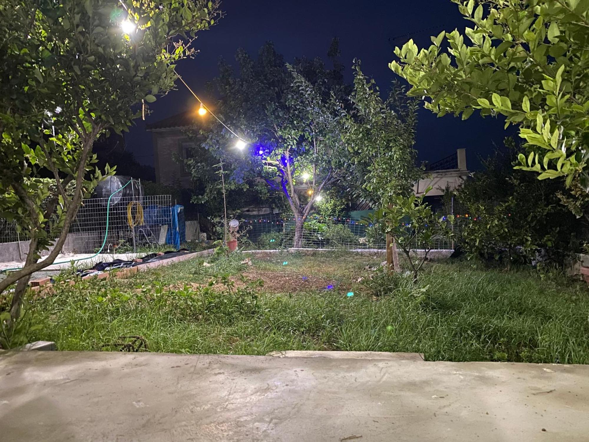 Garden Apartment Mjt Mytilene Exterior foto